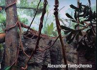 ARCHITECTURE/NATURE | 9788478007868 | TIMTSCHENKO, ALEXANDER