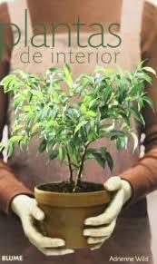 PLANTAS DE INTERIOR | 9788480766173 | WILD, ADRIENNE