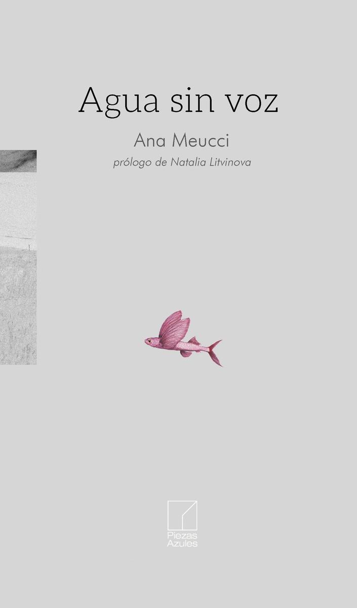 AGUA SIN VOZ | 9791399164336 | MEUCCI, ANA