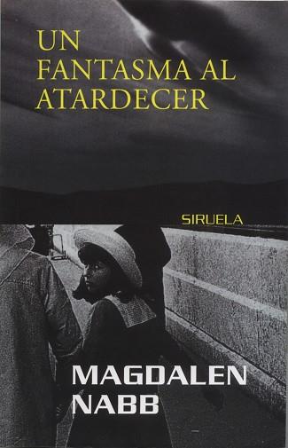 FANTASMA AL ATARDECER, UN | 9788478445554 | NABB, MAGDALEN