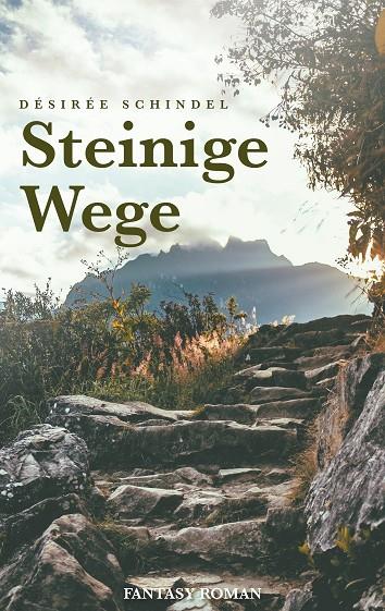 STEINIGE WEGE | 9783734739699 | SCHINDEL, DESIREE