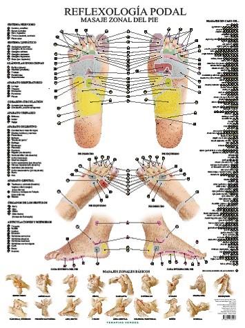 LÁMINAS REFLEXOLOGÍA PODAL | 9788416972418 | JIMÉNEZ HERNÁNDEZ, MIGUEL