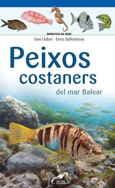 PEIXOS COSTANERS DEL MAR BALEAR | 9788490349403 | LLOBET, TONI / BALLESTEROS SAGARRA, ENRIC