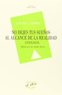 NO DEJES TUS SUEÑOS ALCANCE REALIDAD | 9788492877898 | DE LA TORRE, LUIS