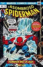 MARVEL GOLD. EL ASOMBROSO SPIDERMAN 08 : ESCARAMUZA BAJO LAS CALLES | 9788490949788 | WEIN, LEN / ANDRU, ROSS