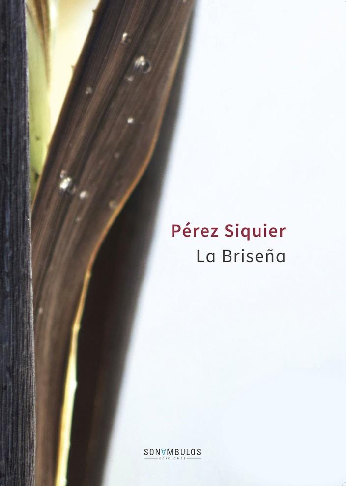 BRISEÑA, LA | 9788494653469 | PEREZ SIQUIER, CARLOS