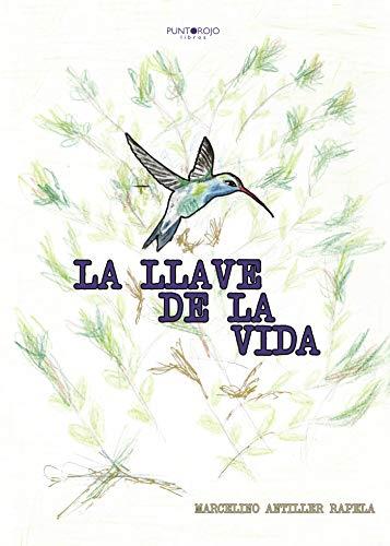 LLAVE DE LA VIDA, LA | 9788417715298 | ANTILLER RAPELA, MARCELINO