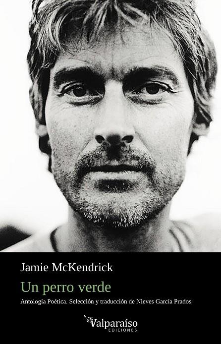 PERRO VERDE, UN | 9788417096670 | MCKENDRICK, JAMIE