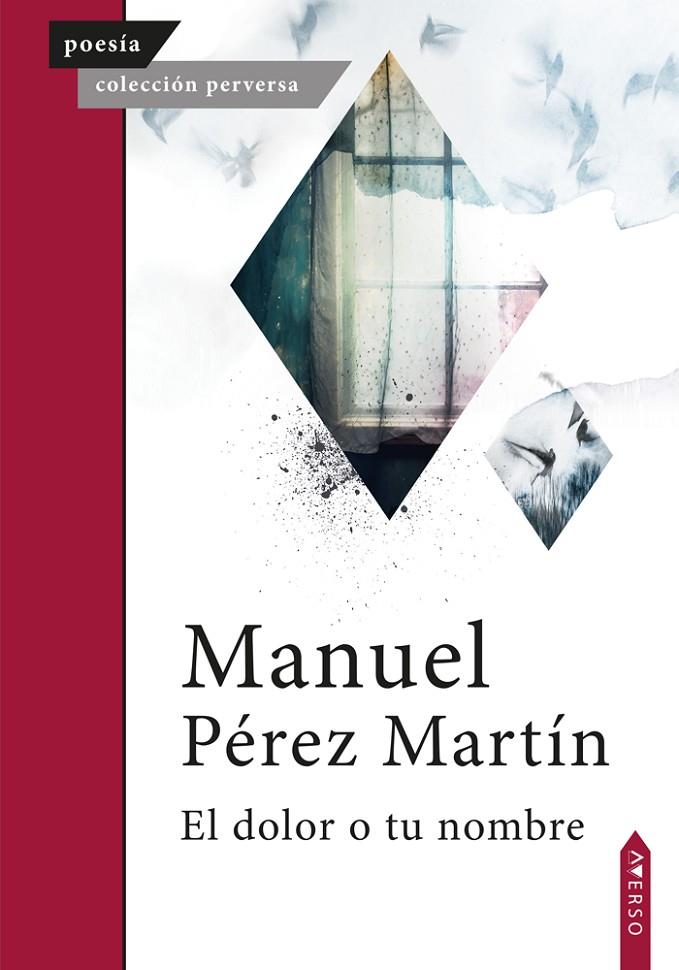 DOLOR O TU NOMBRE, EL | 9788410027428 | PÉREZ MARTÍN, MANUEL