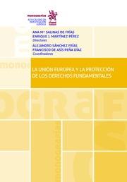 UNIÓN EUROPEA Y LA PROTECCIÓN DE LOS DERECHOS FUNDAMENTALES, LA | 9788491902164 | ALVARES GARCÍA JUNIOR, ARMANDO