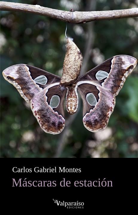 MÁSCARAS DE ESTACIÓN | 9788419347695 | MONTES, CARLOS GABRIEL