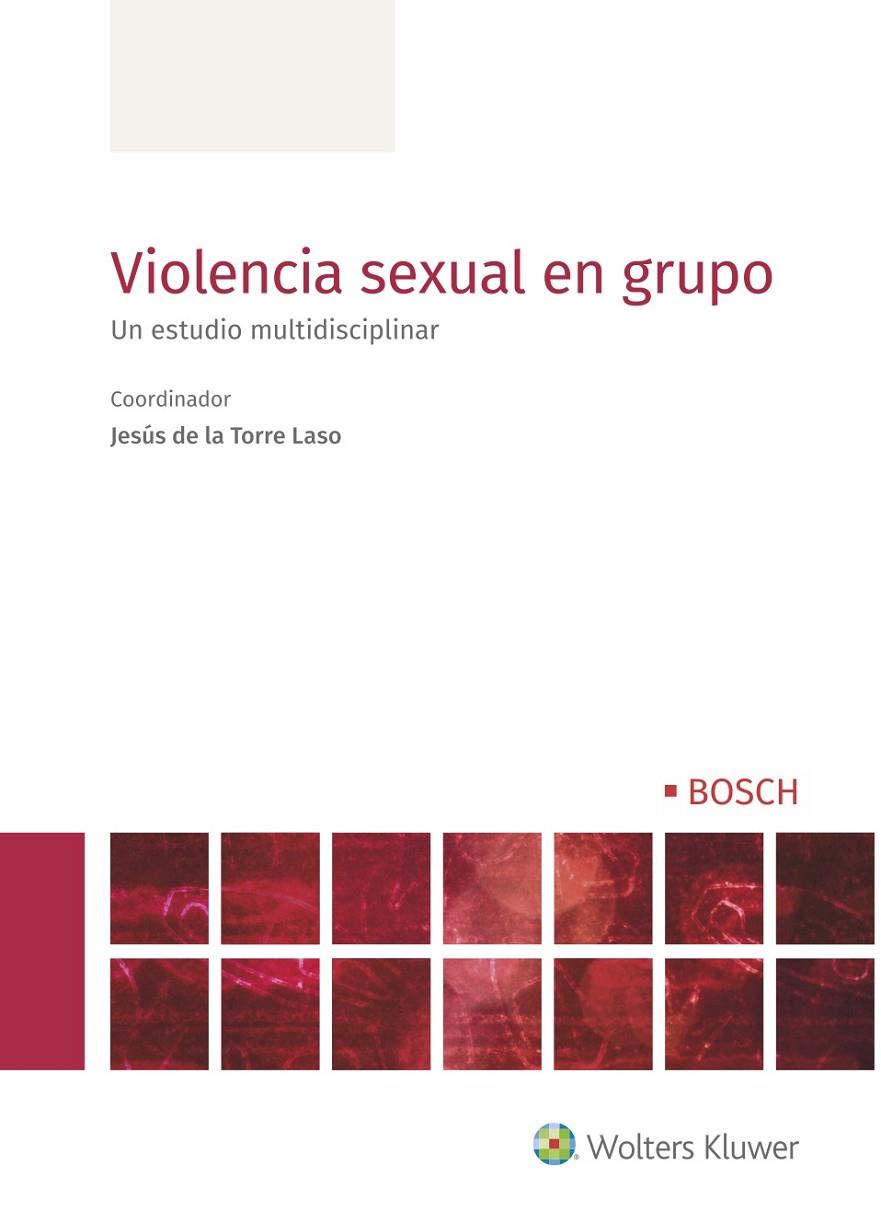 VIOLENCIA SEXUAL EN GRUPO | 9788490906057 | TORRE LASO, JESUS DE LA