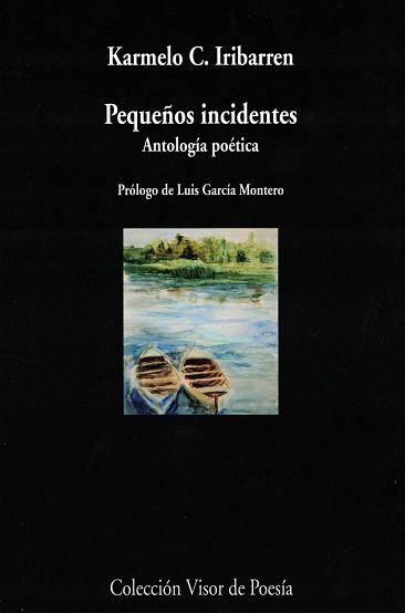 PEQUEÑOS INCIDENTES | 9788498959789 | IRIBARREN, KARMELO C.