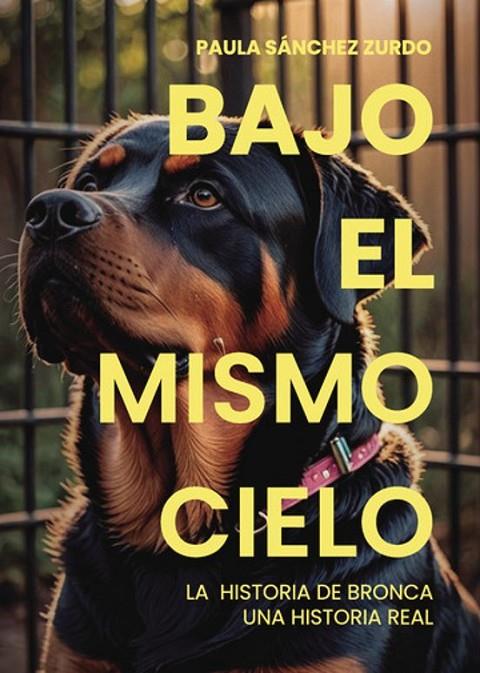 BAJO EL MISMO CIELO | 9797393951750 | SÁNCHEZ ZURDO, PAULA