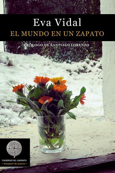MUNDO EN UN ZAPATO, EL | 9788412002492 | VIDAL, EVA