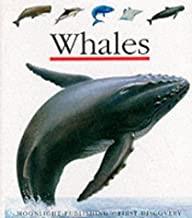 WHALES, THE | 9781851031573
