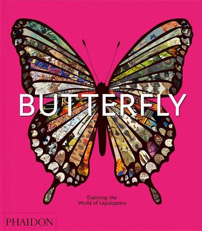 BUTTERFLY | 9781838669379
