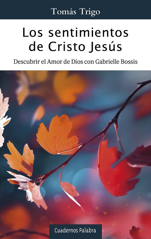 SENTIMIENTOS DE CRISTO JESUS, LOS | 9788413683003 | TRIGO, TOMÁS