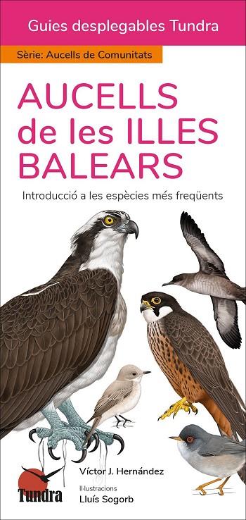 AUCELLS DE LES ILLES BALEARS | 9788419624420 | HERNÁNDEZ, VICTOR J.