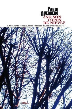 ¿NO SON COPOS DE NIEVE? | 9788492724468 | GUERRERO, PABLO