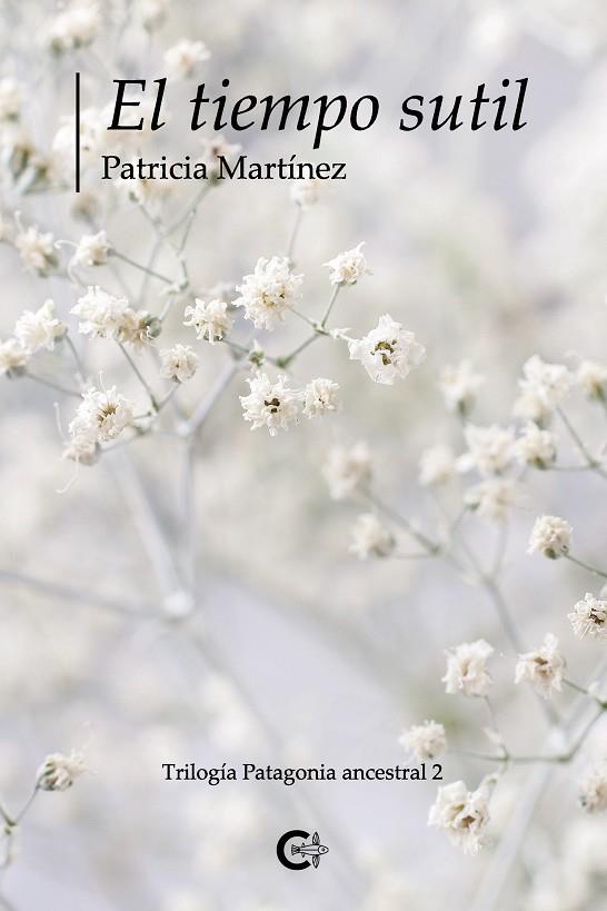 TIEMPO SUTIL, EL | 9788417984304 | MARTÍNEZ, PATRICIA