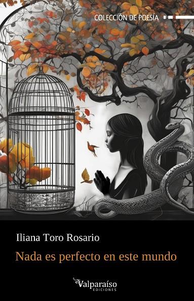 NADA ES PERFECTO EN ESTE MUNDO | 9788410073432 | TORO ROSARIO, ILIANA
