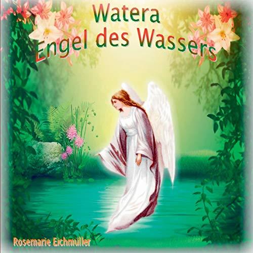 ENGEL DES WASSERS | 9783739237596 | EICHMULLER, ROSEMARIE