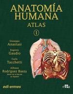 ANATOMIA HUMANA ATLAS INTERACTIVO MULTIMEDIA. VOL 1 (2 EDICIÓN) | 9788419156396 | RODRIGUEZ BAEZA, ALFONSO / TACCHETTI GIUSEPPE, CARLO