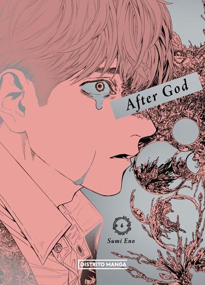 AFTER GOD 06 | 9788410305939 | ENO, SUMI