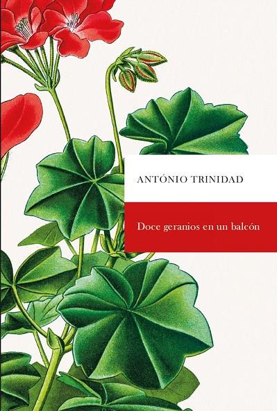 DOCE GERANIOS EN UN BALCÓN | 9788498526912 | TRINIDAD MUÑOZ, ANTONIO