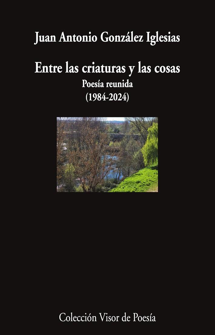 ENTRE LAS CRIATURAS Y LAS COSAS | 9791387745820 | GONZÁLEZ IGLESIAS, JUAN ANTONIO