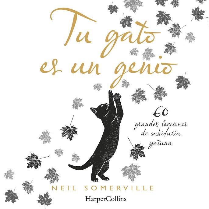 TU GATO ES UN GENIO : 60 GRANDES LECCIONES DE SABIDURÍA GATUNA | 9788491394211 | SOMERVILLE, NEIL