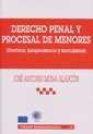 DERECHO PENAL Y PROCESAL DE MENORES | 9788484425823 | MORA ALARCÓN, JOSÉ ANTONIO