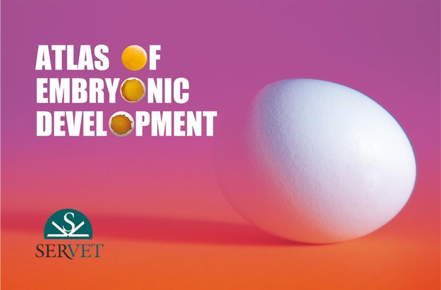 ATLAS OF EMBRYONIC DEVELOPMENT | 9788494244988 | CEPERO BRIZ, RICARDO / MARCO GARCIA, RICARDO