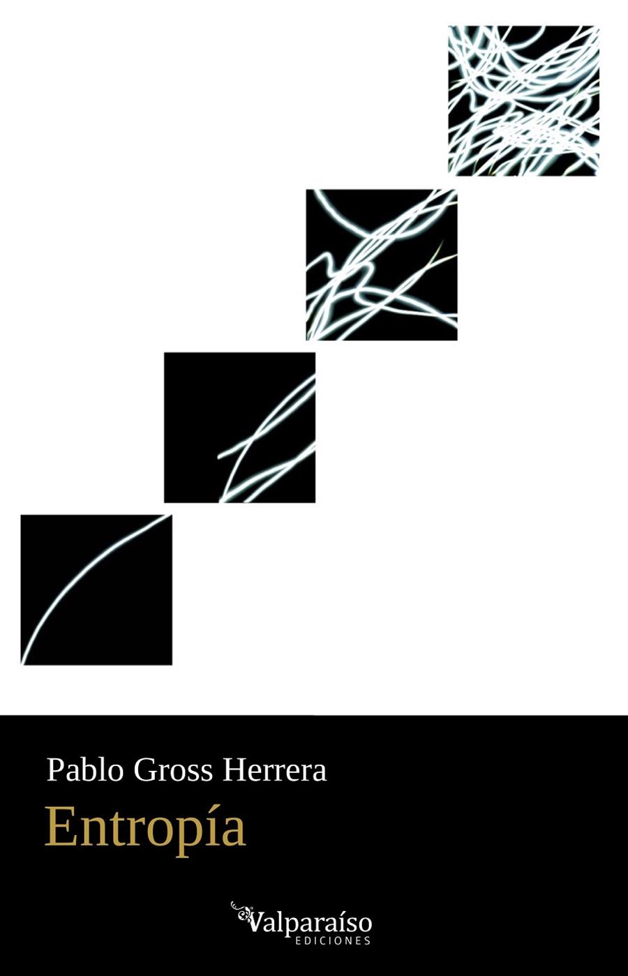 ENTROPÍA | 9788419347664 | GROSS HERRERA, PABLO