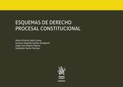 ESQUEMAS DE DERECHO PROCESAL CONSTITUCIONAL | 9788413136769 | CALLE CORREA, MARÍA VICTORIA