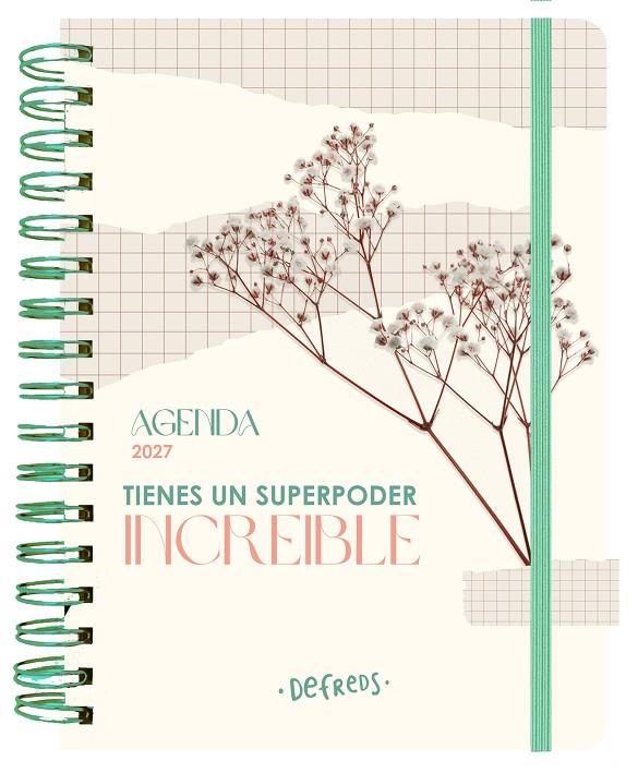 AGENDA ANUAL SEMANAL 2027 DEFREDS | 9788419434371 | DEFREDS