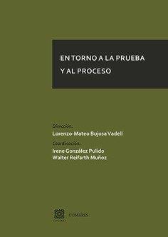 EN TORNO A LA PRUEBA Y AL PROCESO | 9788490458051 | BUJOSA VADELL, LORENZO-MATEO