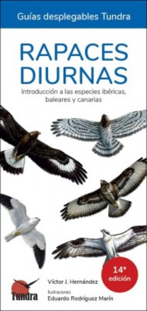 RAPACES DIURNAS | 9788418458668 | HERNANDEZ, VICTOR