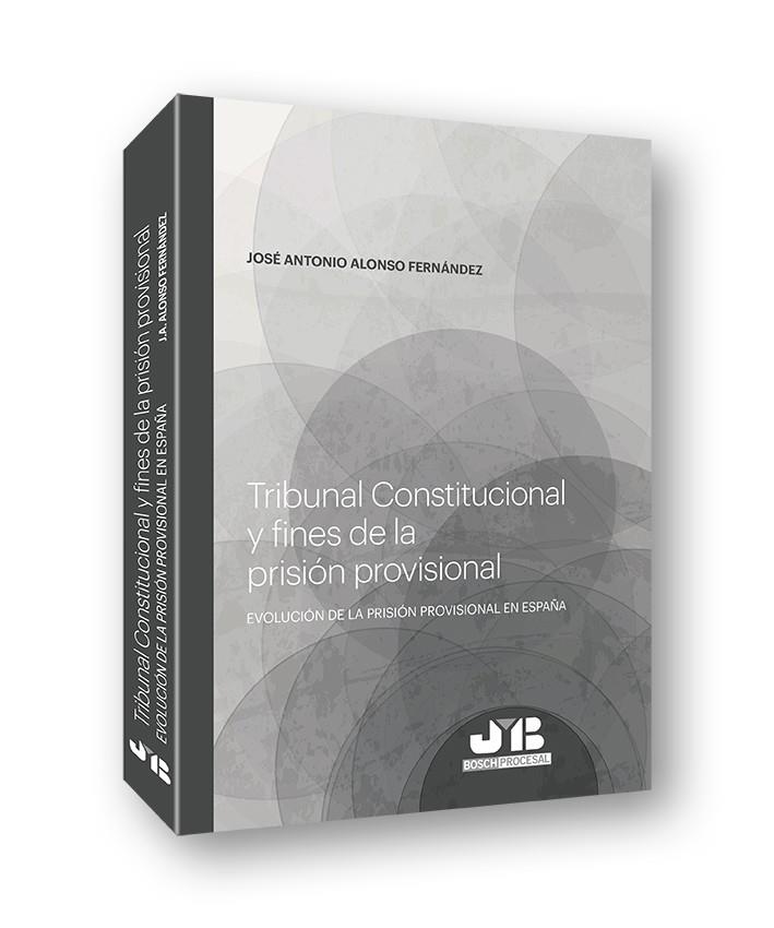 TRIBUNAL CONSTITUCIONAL Y FINES DE LA PRISIÓN PROVISIONAL | 9788494992292 | ALONSO FERNANDEZ, JOSE ANTONIO