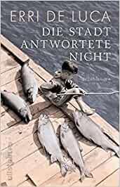 DIE STADT ANTWORTETE NICHT | 9783548291055 | DE LUCA, ERRI