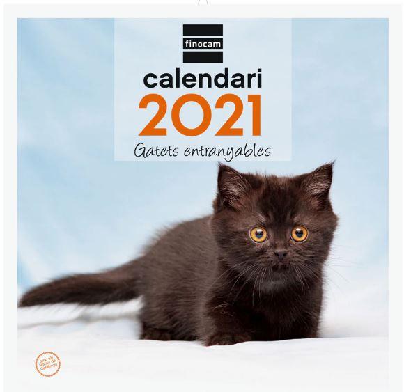 CALENDARI ANUAL PARET 30X30 2021 GATETS CAT+ | 8422952304579