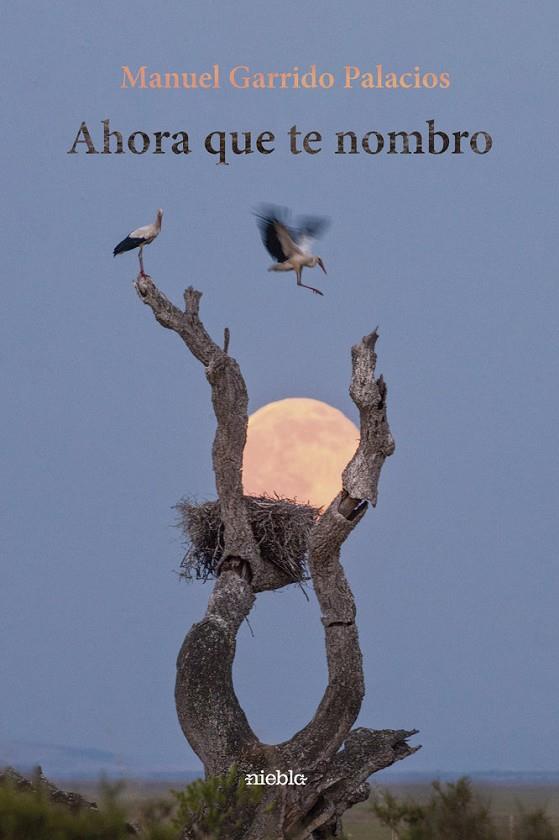 AHORA QUE TE NOMBRO | 9791399107203 | GARRIDO PALACIOS, MANUEL