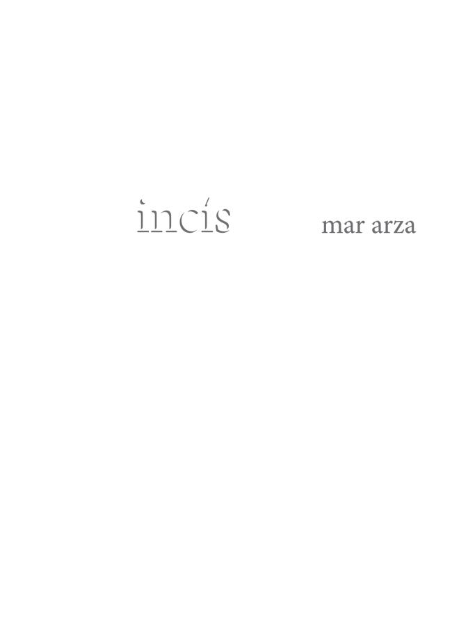 INCÍS | 9788461628155 | VARIOS AUTORES