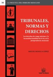 TRIBUNALES, NORMAS Y DERECHOS | 9788490533475 | BONILLA LÓPEZ, MIGUEL