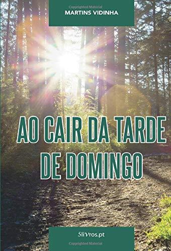 AO CAIR DA TARDE DE DOMINGO | 9789898929853 | VIDINHA, MARTINS
