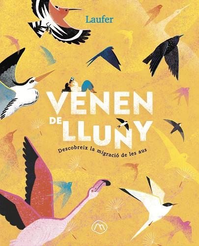 VENEN DE LLUNY | 9788482897349 | FERNÁNDEZ ARQUISOLA, LAURA (LAUFER)