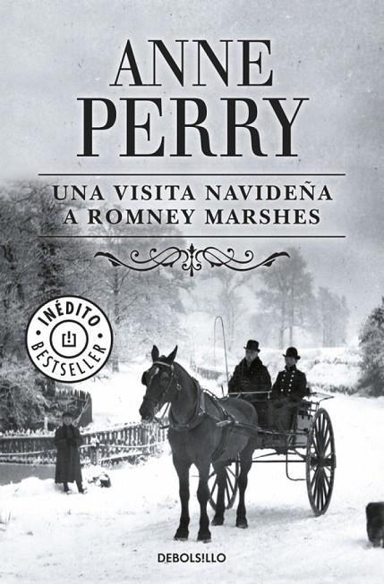 VISITA NAVIDEÑA EN ROMNEY MARSHES, UNA | 9788483468722 | PERRY, ANNE