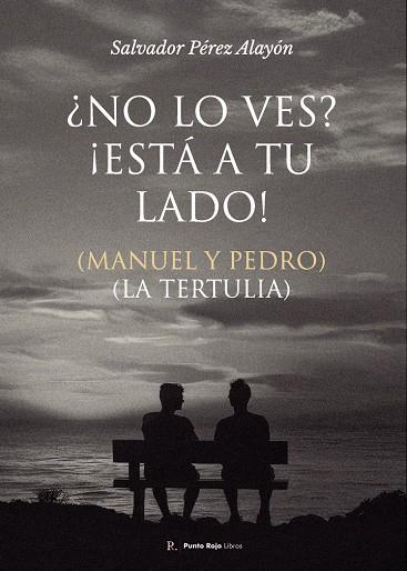 NO LO VES? ESTÁ A TU LADO! | 9790901356832 | SEVERO PÉREZ ALAYÓN, SALVADOR