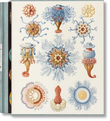 ART AND SCIENCE OF ERNST HAECKEL, THE | 9783754406106 | VOSS, JULIA/WILLMANN, RAINER